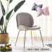 Nordic Iron Shell Beetle Dining Chair Leisure Restaurant Chair Luxury Metal Back Modern Home Comfortable Seating Chair Nordic Iron Shell Beetle Dining Chair Leisure Restaurant Chair Luxury Metal Back Modern Home Comfortable Seating Chair