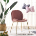 Nordic Iron Shell Beetle Dining Chair Leisure Restaurant Chair Luxury Metal Back Modern Home Comfortable Seating Chair Nordic Iron Shell Beetle Dining Chair Leisure Restaurant Chair Luxury Metal Back Modern Home Comfortable Seating Chair