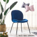 Nordic Iron Shell Beetle Dining Chair Leisure Restaurant Chair Luxury Metal Back Modern Home Comfortable Seating Chair Nordic Iron Shell Beetle Dining Chair Leisure Restaurant Chair Luxury Metal Back Modern Home Comfortable Seating Chair