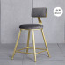 Modern Bar Stool Cafe Chair with Gold Iron Backrest Simple Home High Footstools for Kitchen Living Room Coffee Lounge