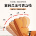 Luxury Snail Chair Modern High EndSingle Person Lounge Chair for Bedroom Balcony Luxury Snail Chair Modern High EndSingle Person Lounge Chair for Bedroom Balcony