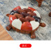 American Wooden Sofa Stool Leather Turtle Footstool Kids Low Stool Creative Wealthy Stool Sofa Footstool Shoe Bench