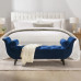 Nordic Luxury Ottoman Bench Shoe Stool Bed End Sofa Stool