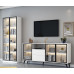Modern Minimalist Living Room TV Cabinet Bookcase Combination