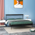 Iron Double Bed 180cm Light Luxury Nordic Modern Simplistic Single Child Bed Iron Frame Bed Extra Thickening and Reinforcing Iron Double Bed 180cm Light Luxury Nordic Modern Simplistic Single Child Bed Iron Frame Bed Extra Thickening and Reinforcing