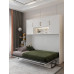 Automatic Foldable Murphy Wall Bed with Shelf and Cabinet Bookcase Luxury Space Saving