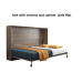 Electric Folding Hidden Bed Cabinet for Small Spaces Electric Folding Hidden Bed Cabinet for Small Spaces