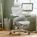 Ergonomic Office Chair Comfort Seat Ergonomic Office Chair Comfort Seat