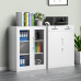 Black Metal Office Cabinet