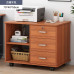 Wooden Cabinet with Lock Office Cabinet Printer Drawer Cabinet Low Cabinet Storage Cabinet