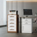 Metal File Cabinet Drawer Cabinet Office Storage Cabinet File Data Cabinet Under Table Storage Cabinet Lockable Drawer Cabinet Metal File Cabinet Drawer Cabinet Office Storage Cabinet File Data Cabinet Under Table Storage Cabinet Lockable Drawer Cabinet