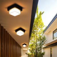 Outdoor Ceiling Light Waterproof Patio Hallway Stairway Entrance Pavilion Corridor Villa Courtyard LED Ceiling Light
