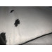 Le Corbusier Lc4 Chaise Lounge Chair Cushion And Strap In Cowhide Leather