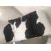 Le Corbusier Lc4 Chaise Lounge Chair Cushion And Strap In Cowhide Leather