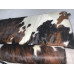 Le Corbusier LC4 Chaise Lounge Chair Cushion and Strap in Tri-Color Pony Skin Leather Le Corbusier LC4 Chaise Lounge Chair Cushion and Strap in Tri-Color Pony Skin Leather