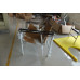 Le Corbusier Style Lc1 Sling Chair, Pony Skin Or Cowhide Le Corbusier Style Lc1 Sling Chair, Pony Skin Or Cowhide